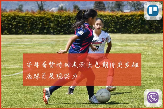 字母哥赞特纳表现出色期待更多雄鹿球员展现实力