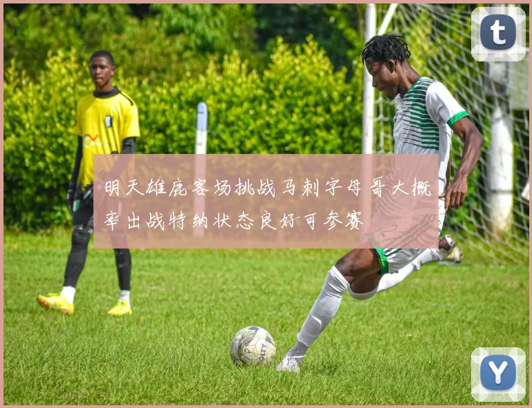 明天雄鹿客场挑战马刺字母哥大概率出战特纳状态良好可参赛